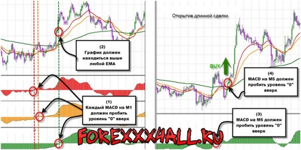 Как настроить индикатор MACD - полное руководство по различным таймфреймам