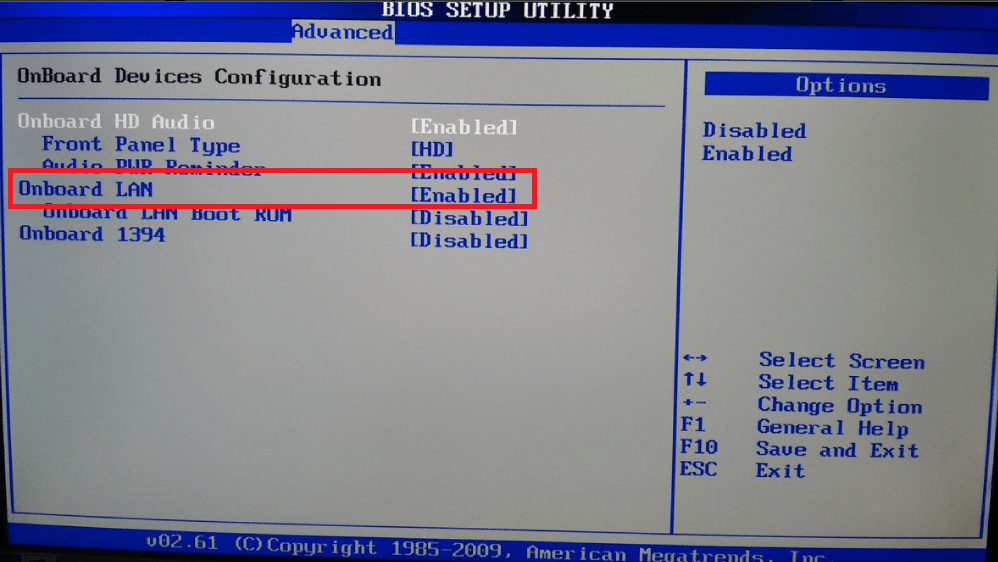 Aktivierung des Adapters im BIOS