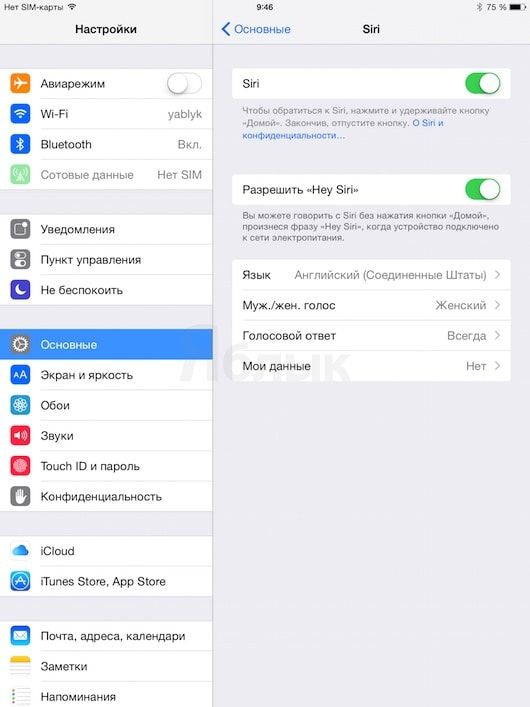 Siri на iPad Air