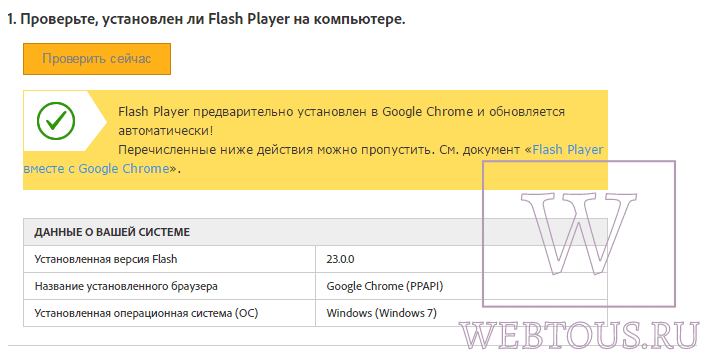 Чтобы проверить работу Flash Player