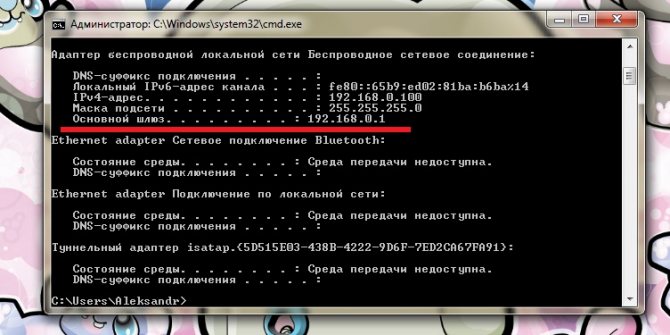 Введение IPConfig