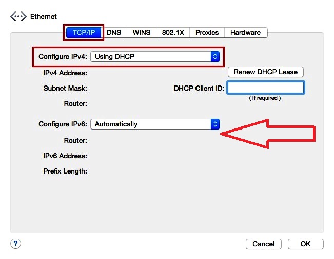 Автоматический DHCP